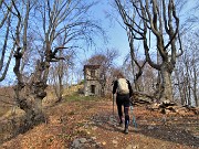 Castel Regina e Pizzo Cerro da Catremerio-13apr22- FOTOGALLERY
